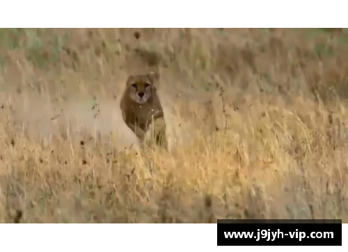 猎豹速度：足球场上的疾风